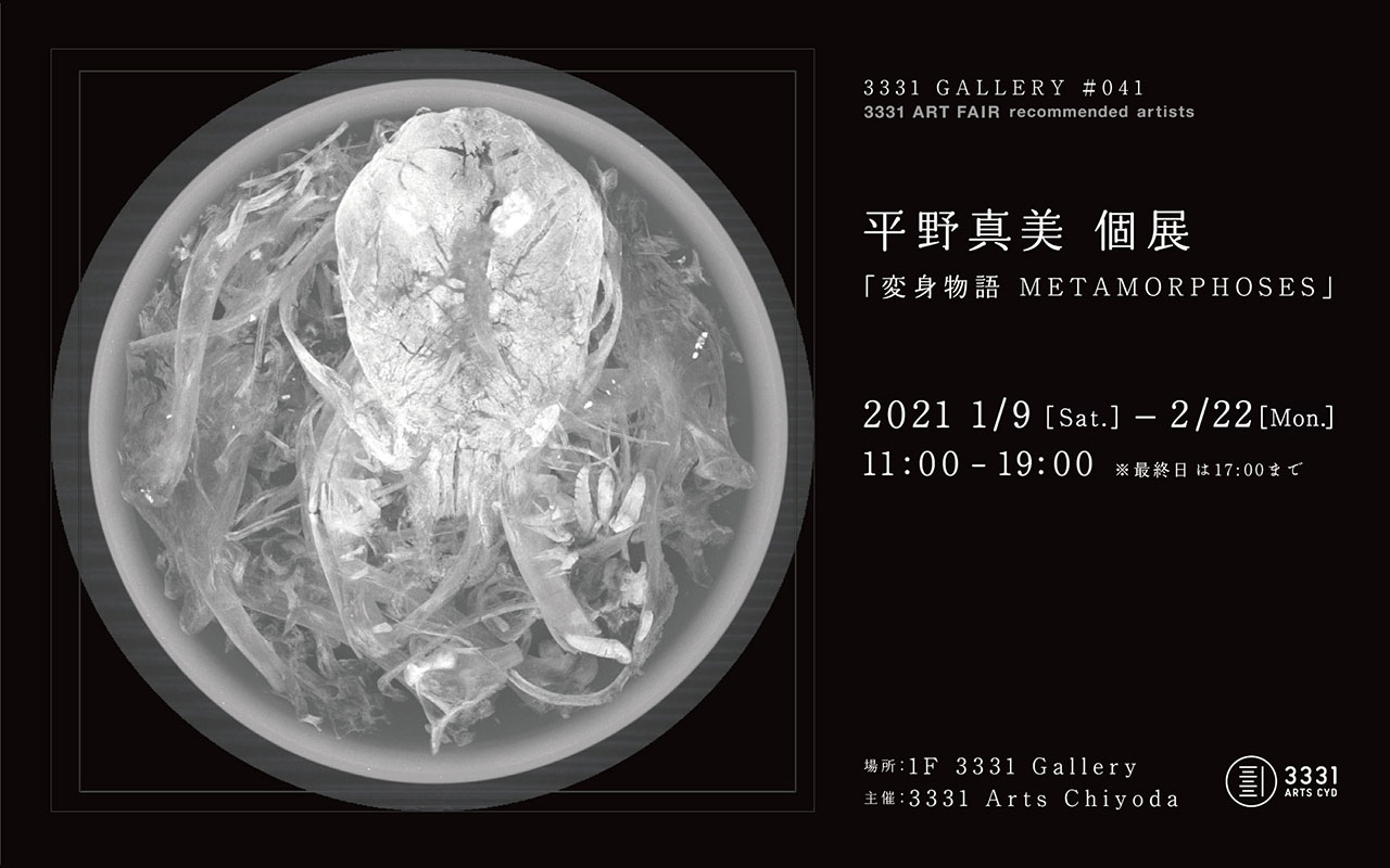 (Period Extended) 3331 GALLERY #041 3331 ART FAIR recommended artists Mami Hirano Solo Exhibition “METAMORPHOSES"