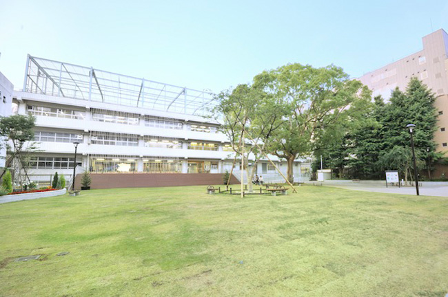 004884_01.jpg