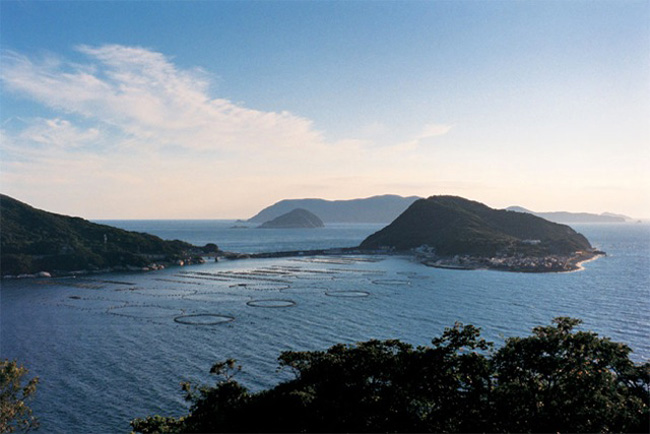 半島のじかん2011 in TOKYO
