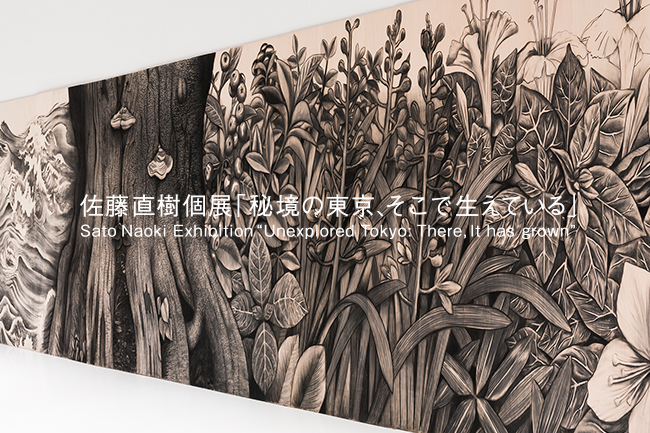 Sato Naoki Exhibition  "Unexplored Tokyo: There, It has grown-"