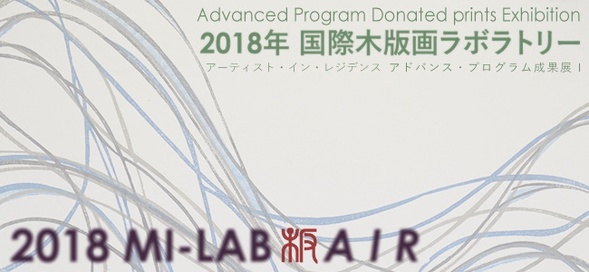 2018 MI-LAB Advanced Program D Exhibition